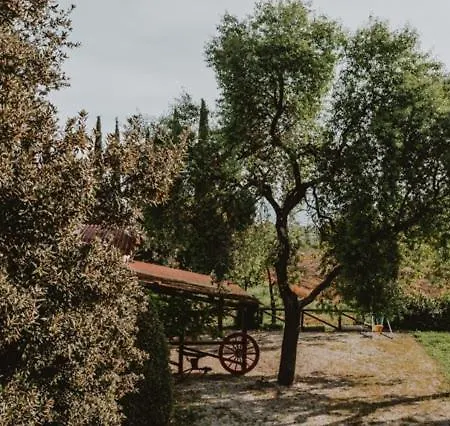 Agro Centorio