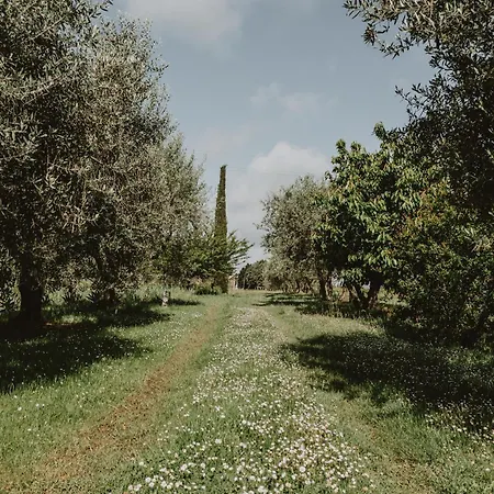 Agro Centorio Apartamento Cortona