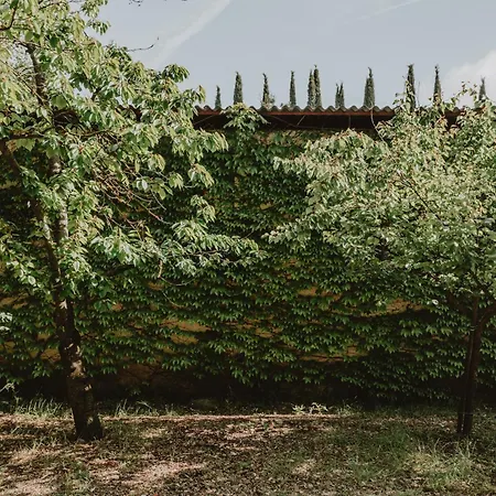 Agro Centorio Apartamento Cortona